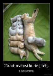 Iškart matosi kurie į tėtį, - o kurie į mamą.