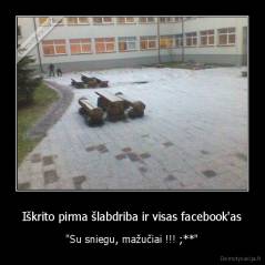 Iškrito pirma šlabdriba ir visas facebook'as - "Su sniegu, mažučiai !!! ;**"