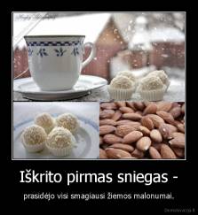 Iškrito pirmas sniegas - - prasidėjo visi smagiausi žiemos malonumai.