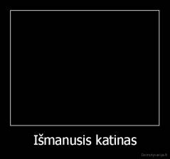 Išmanusis katinas - 