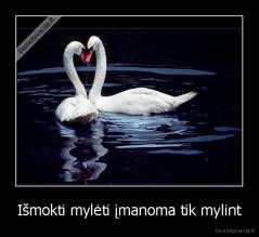 Išmokti mylėti įmanoma tik mylint - 