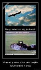 Išmokus, yra svarbiausia viena taisyklė - NETŪPK FUTBOLO AIKŠTĖJE