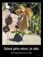 Išplauk galvą vakare, jie sakė, - turėsi daugiau laiko iš ryto, jie sakė.