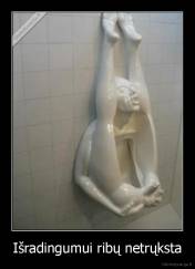 Išradingumui ribų netrųksta - 