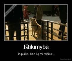 Ištikimybė - Jis puikiai žino ką tai reiškia...