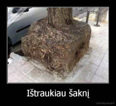 Ištraukiau šaknį - 