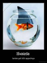 Išvaizda  - kartais gali būti apgaulinga