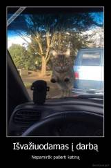 Išvažiuodamas į darbą - Nepamiršk pašerti katiną