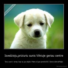 Isvedzioju,priziuriu sunis Vilniuje geriau centre - Turiu suni ir zinau kaip su juo elgtis. Mano skype:jonelis333. Geros dienosMigle