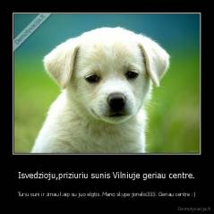 Isvedzioju,priziuriu sunis Vilniuje geriau centre. - Turiu suni ir zinau kaip su juo elgtis. Mano skype:jonelis333. Geriau centre :)