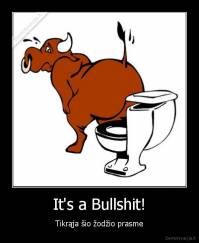 It's a Bullshit! - Tikrąja šio žodžio prasme