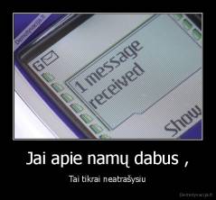 Jai apie namų dabus , - Tai tikrai neatrašysiu