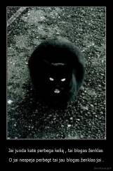 Jai juoda katė perbega kelią , tai blogas ženklas  - O jai nespeja perbėgt tai jau blogas ženklas jai .