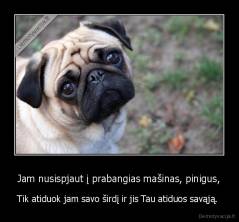 Jam nusispjaut į prabangias mašinas, pinigus, - Tik atiduok jam savo širdį ir jis Tau atiduos savąją. 