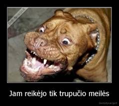 Jam reikėjo tik trupučio meilės - 