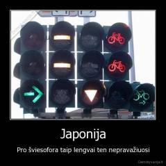 Japonija - Pro šviesofora taip lengvai ten nepravažiuosi