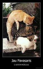 Jau Pavasaris - O KATEM MORCIUS