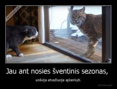 Jau ant nosies šventinis sezonas,  - uošvija atvažiuoja aplankyti.