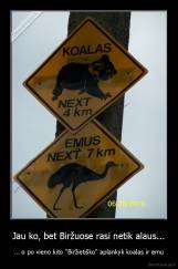 Jau ko, bet Biržuose rasi netik alaus... - ... o po vieno kito "Biržietiško" aplankyk koalas ir emu