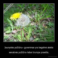 Jaunystės požiūriu– gyvenimas yra begalinė ateitis - senatvės požiūriu-labai trumpa praeitis.