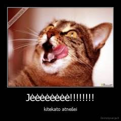 Jėėėėėėėė!!!!!!!! - kitekato atnešei