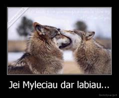 Jei Myleciau dar labiau... - 
