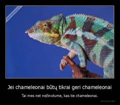 Jei chameleonai būtų tikrai geri chameleonai - Tai mes net nežinotume, kas tie chameleonai.