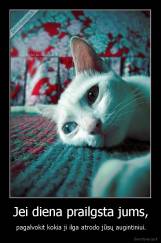 Jei diena prailgsta jums, - pagalvokit kokia ji ilga atrodo jūsų augintiniui.