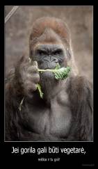 Jei gorila gali būti vegetarė, - reiškia ir tu gali!