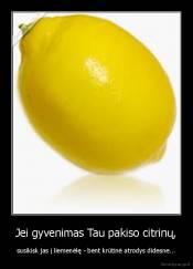 Jei gyvenimas Tau pakiso citrinų, - susikisk jas į liemenėlę - bent krūtinė atrodys didesne...