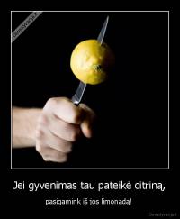 Jei gyvenimas tau pateikė citriną, - pasigamink iš jos limonadą! 