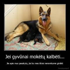 Jei gyvūnai mokėtų kalbėti... - Jie apie mus pasakytų ,tai ko mes tikrai nenorėtume girdėti