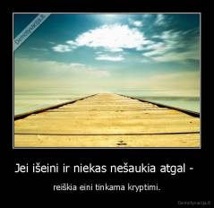 Jei išeini ir niekas nešaukia atgal -  - reiškia eini tinkama kryptimi.