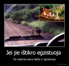 Jei jie ištikro egzistuoja  - Tai vadinas senis šaltis ir egzistuoja