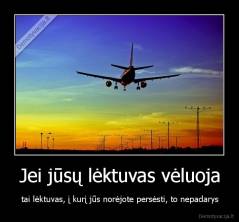 Jei jūsų lėktuvas vėluoja - tai lėktuvas, į kurį jūs norėjote persėsti, to nepadarys