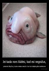 Jei kada nors liūdėsi, kad esi negražus, - prisimink šitą žuvį, kurios niekas nemyli ir kuri turi slėptis giliai vandenyne