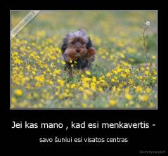 Jei kas mano , kad esi menkavertis - - savo šuniui esi visatos centras