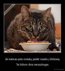 Jei katinas pats mokėtų įsidėti maisto į bliūduką - Tai būtum išvis nenaudingas