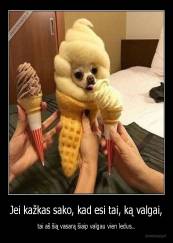 Jei kažkas sako, kad esi tai, ką valgai, - tai aš šią vasarą šiaip valgau vien ledus..