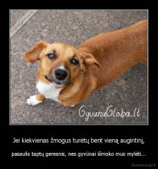 Jei kiekvienas žmogus turėtų bent vieną augintinį, - pasaulis taptų geresnis, nes gyvūnai išmoko mus mylėti...