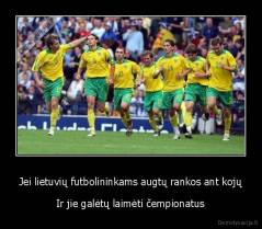 Jei lietuvių futbolininkams augtų rankos ant kojų - Ir jie galėtų laimėti čempionatus