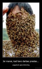 Jei manai, kad tavo darbas prastas... - pagalvok apie bitininką