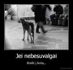 Jei nebesuvalgai - išnešk į lauką...