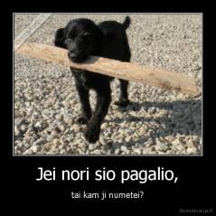 Jei nori sio pagalio, - tai kam ji numetei?