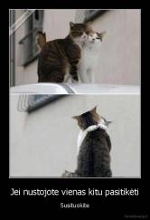 Jei nustojote vienas kitu pasitikėti - Susituokite