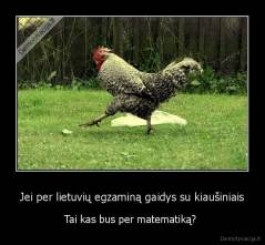 Jei per lietuvių egzaminą gaidys su kiaušiniais - Tai kas bus per matematiką? 