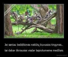 Jei seniau beždžionės nebūtų buvusios tingynes.. - tai dabar tikriausiai visdar laipiotumeme medžiais