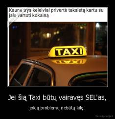 Jei šią Taxi būtų vairavęs SEL'as, - jokių problemų nebūtų kilę.