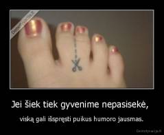 Jei šiek tiek gyvenime nepasisekė,  - viską gali išspręsti puikus humoro jausmas.