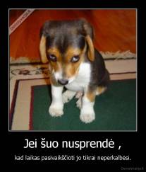 Jei šuo nusprendė , - kad laikas pasivaikščioti jo tikrai neperkalbėsi.